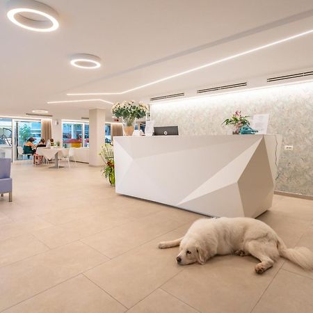 Hotel San Domingo Bellaria-Igea Marina Luaran gambar