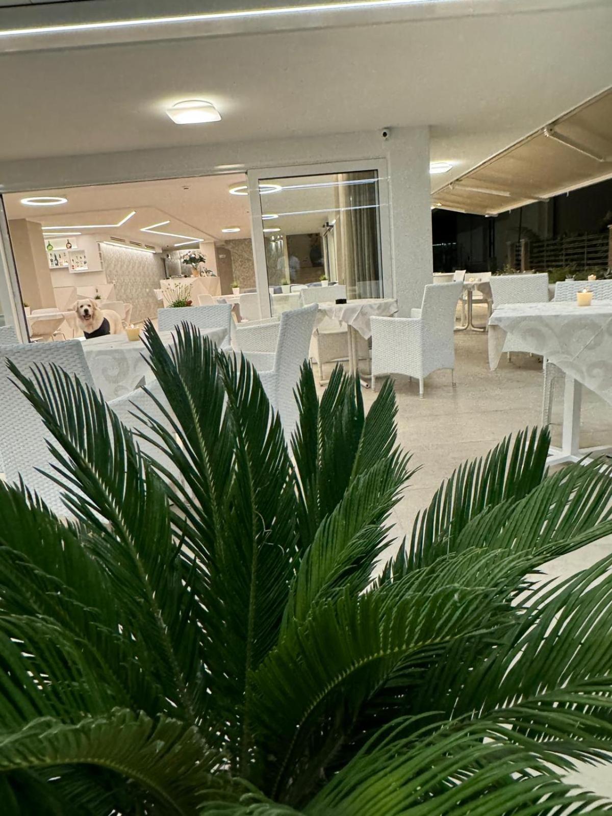Hotel San Domingo Bellaria-Igea Marina Luaran gambar