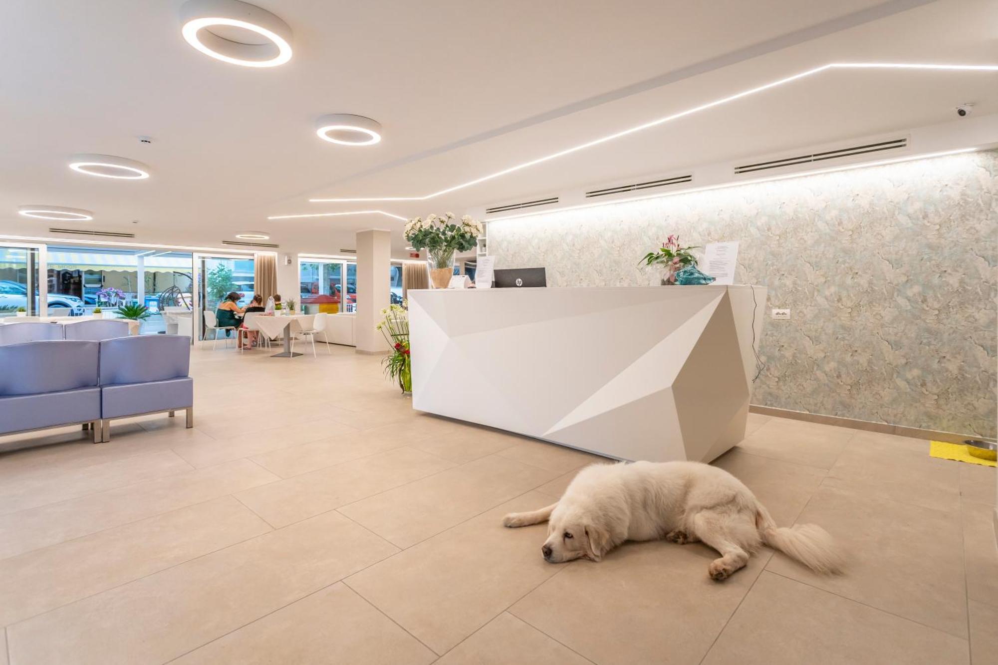 Hotel San Domingo Bellaria-Igea Marina Luaran gambar